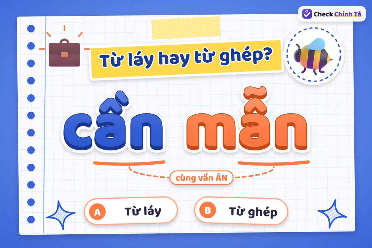 Cần mẫn là từ ghép hay từ láy