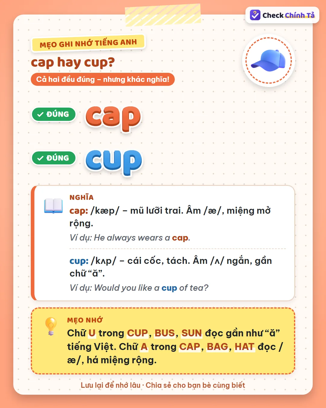 Mẹo ghi nhớ: chữ U trong cup, bus, sun đọc gần như ă; chữ A trong cap, bag, hat đọc /æ/, há miệng rộng.