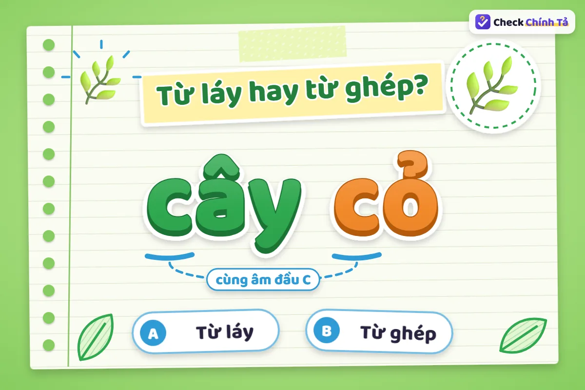 Cây cỏ là từ ghép đẳng lập hay chính phụ