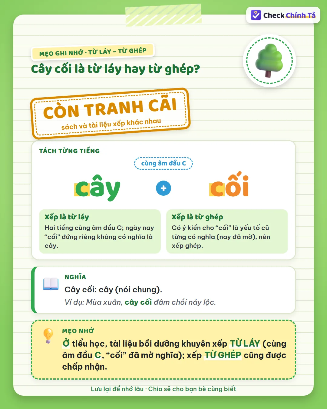 Mẹo ghi nhớ: ở tiểu học xếp cây cối là từ láy (cùng âm c, “cối” mờ nghĩa); xếp từ ghép cũng được chấp nhận.