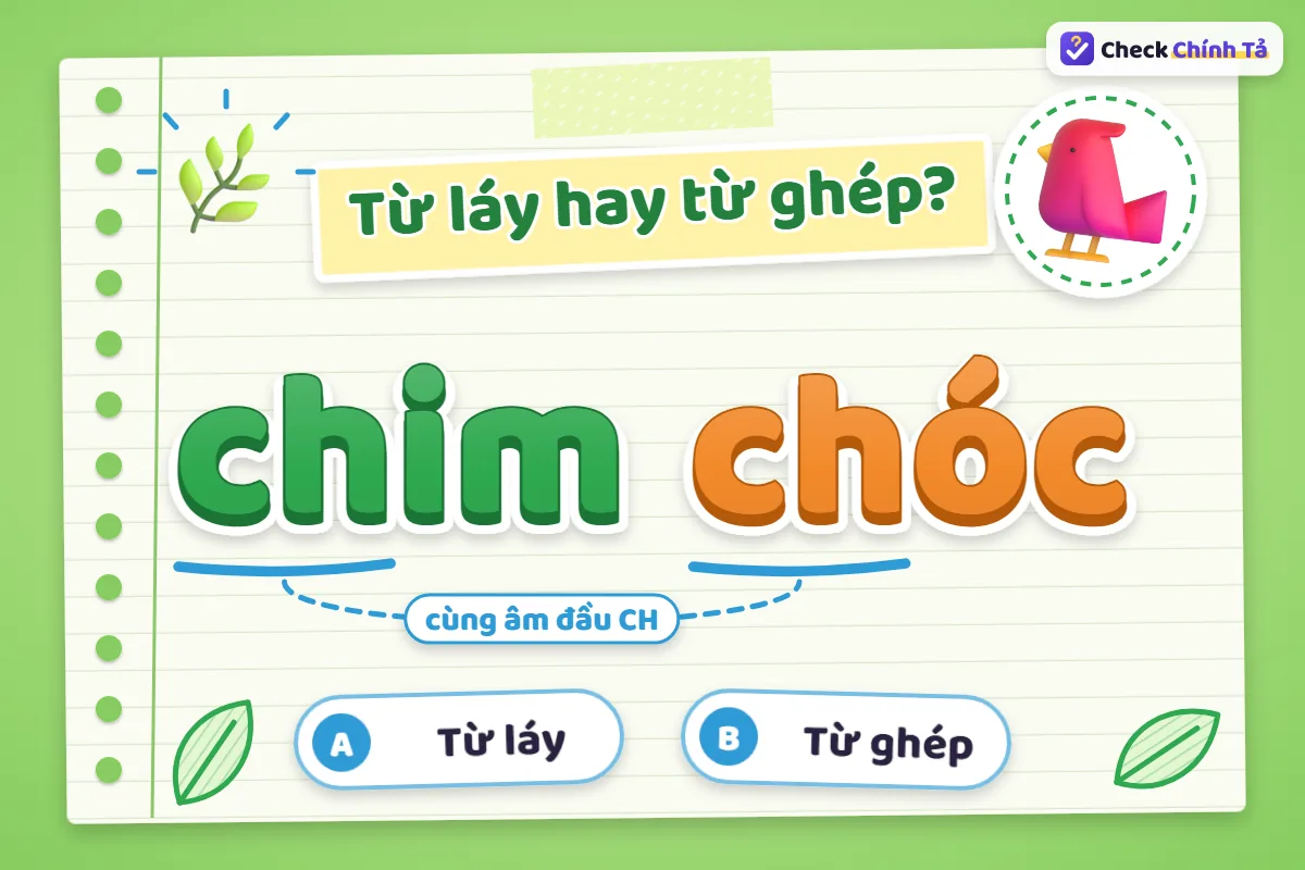 Chim chóc là từ láy hay từ ghép