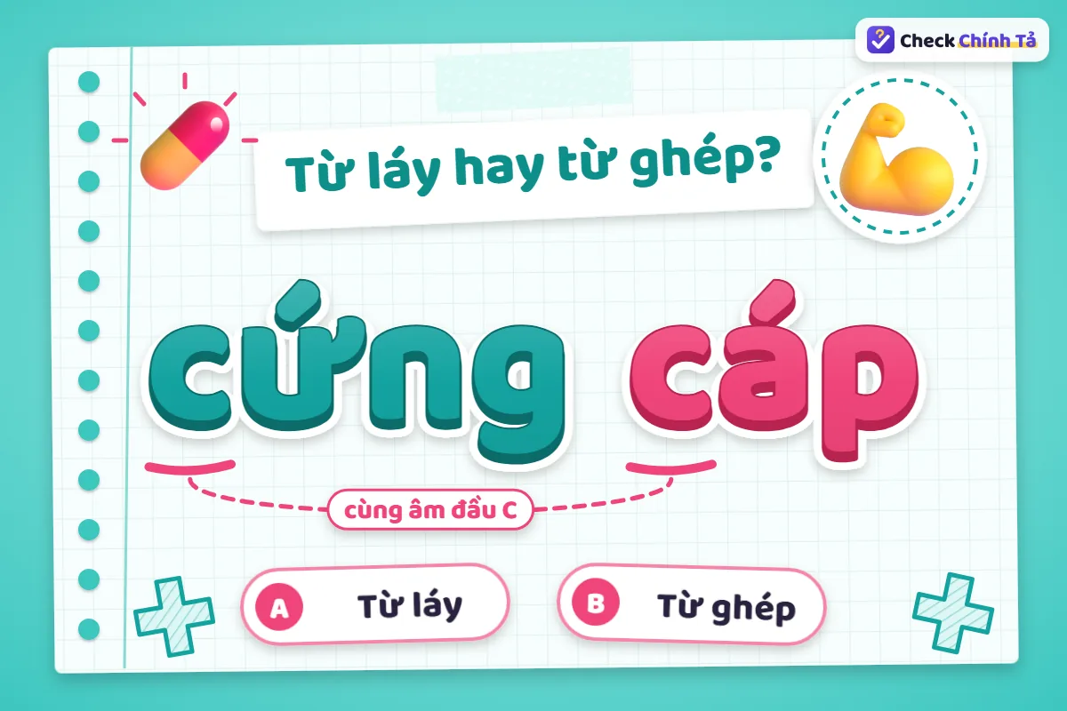 Cứng cáp là từ láy hay từ ghép