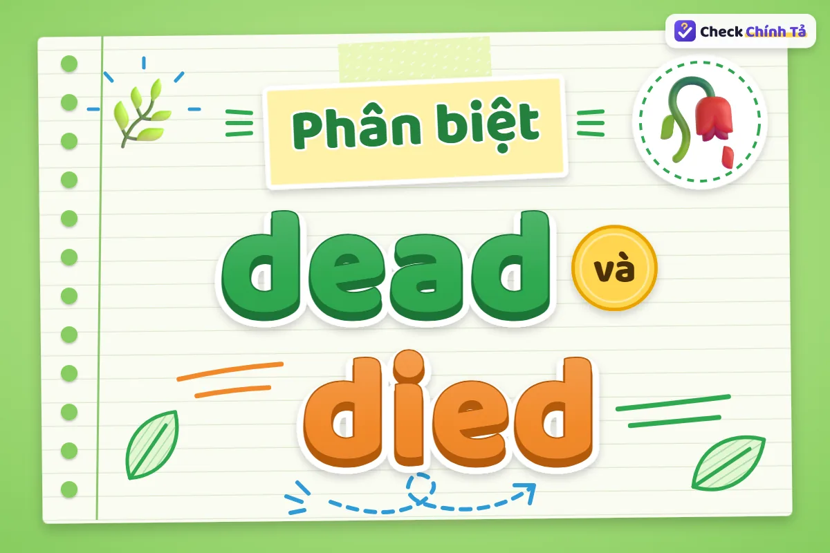 Phân biệt dead và died