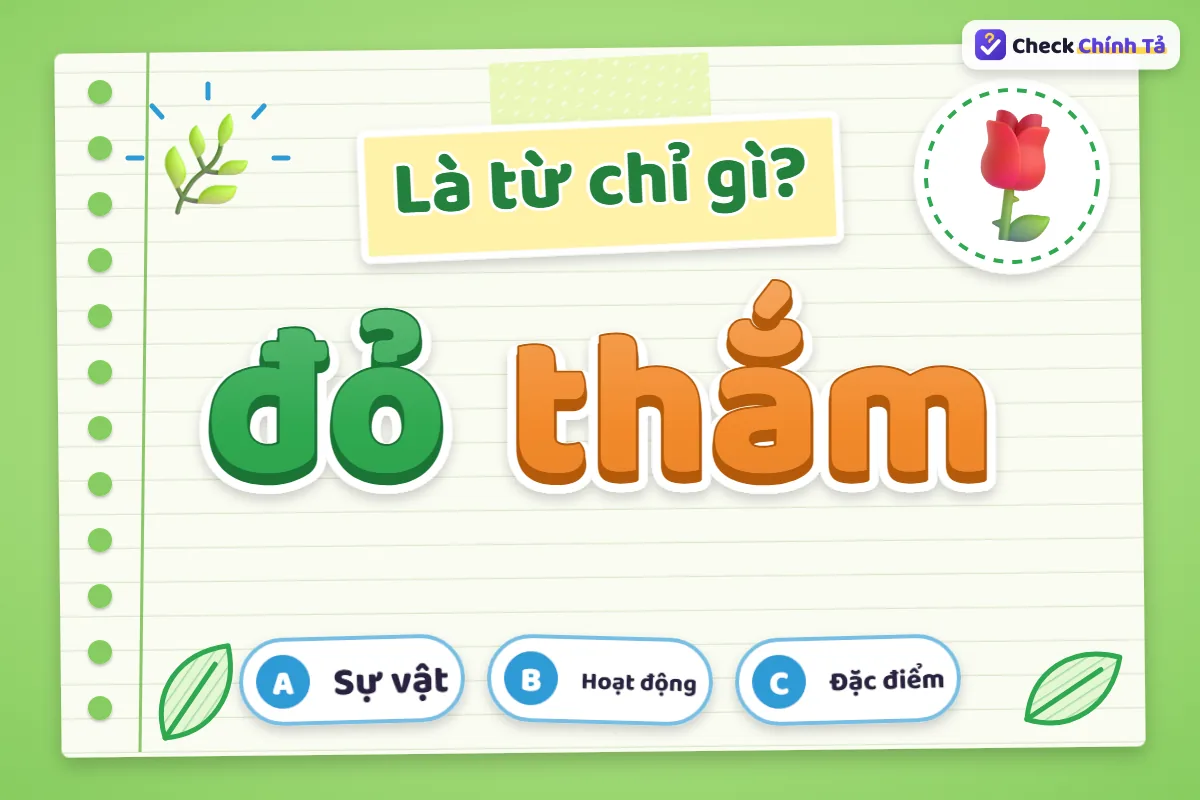 Đỏ thắm là từ chỉ gì