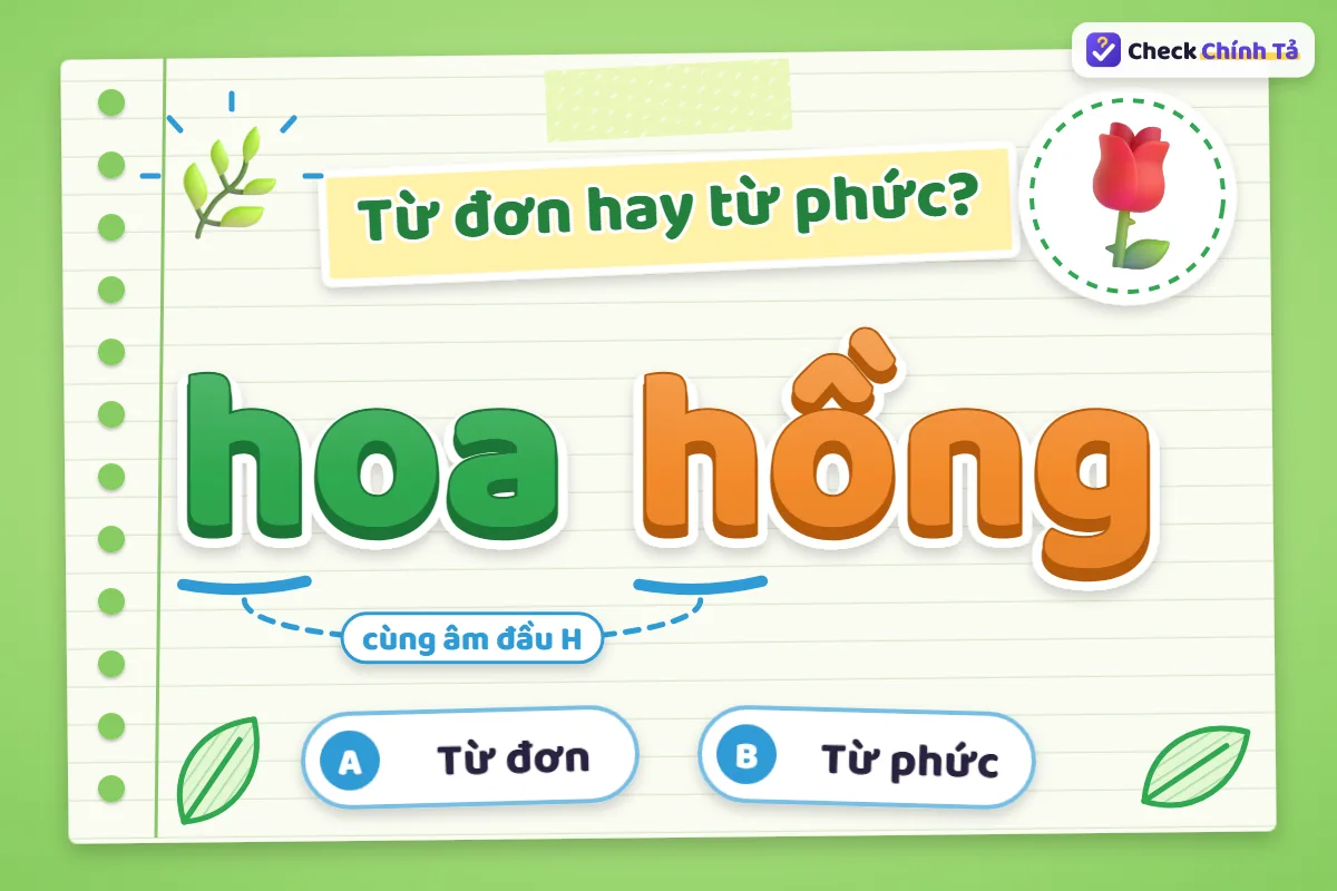 Hoa hồng là từ đơn hay từ phức