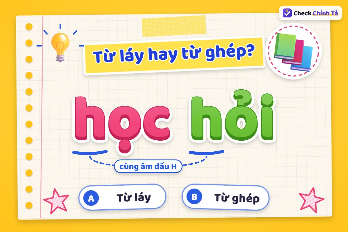Học hỏi là từ láy hay từ ghép