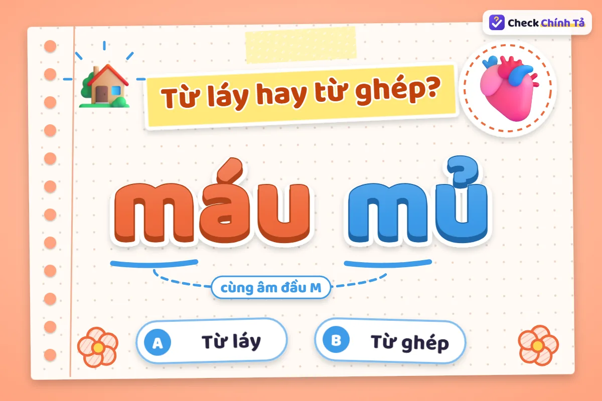 Máu mủ là từ láy hay từ ghép