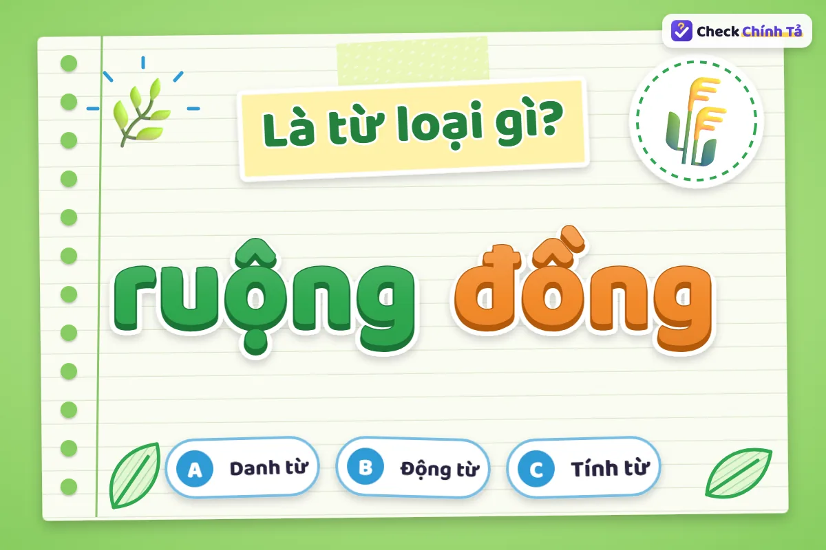 Ruộng đồng là từ loại gì