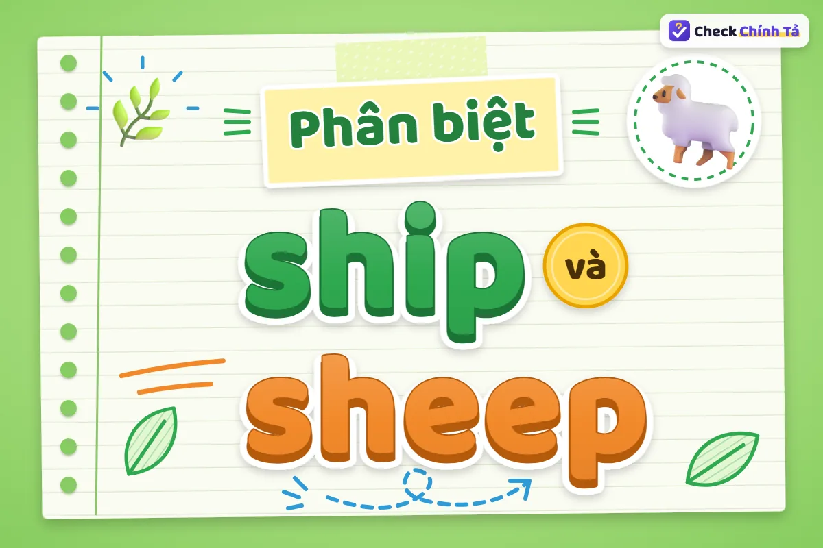 Phân biệt ship và sheep
