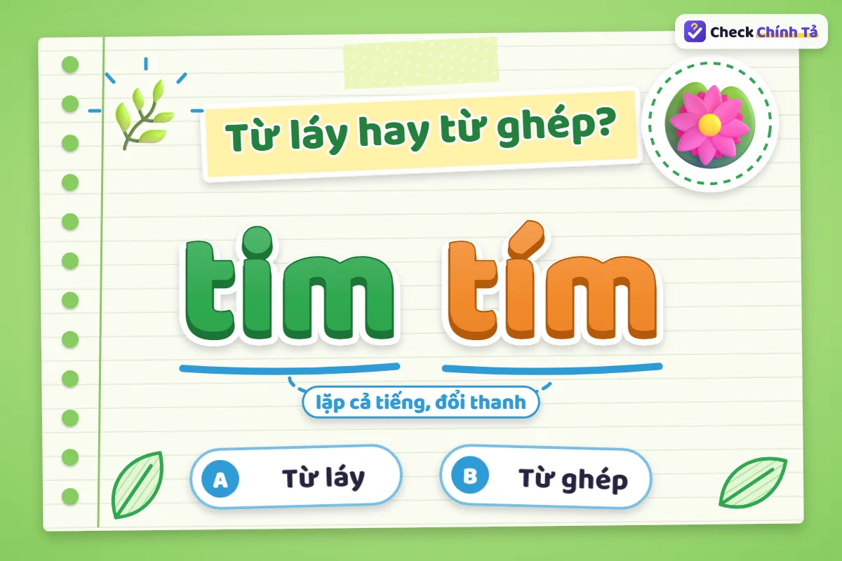Tim tím là từ láy hay từ ghép