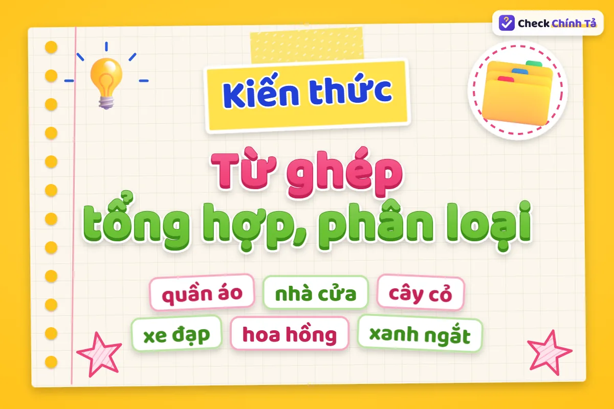 Từ ghép tổng hợp và phân loại là gì