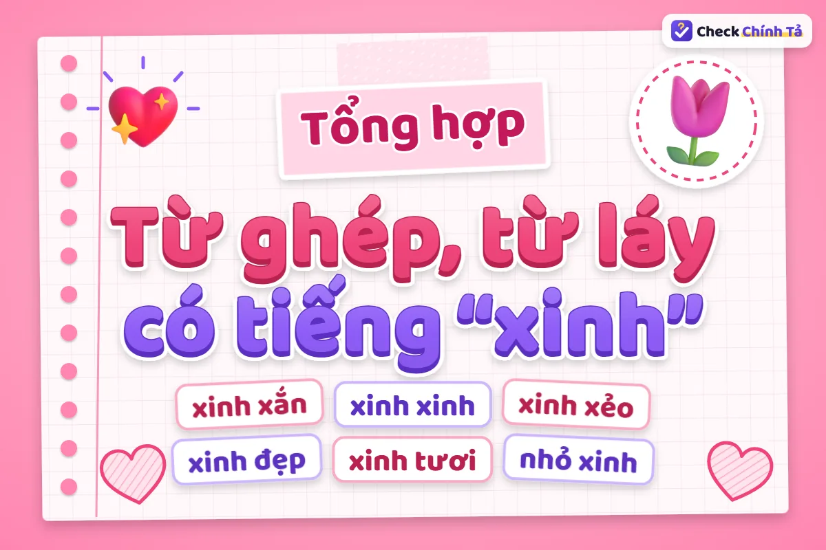 Từ ghép và từ láy có tiếng xinh