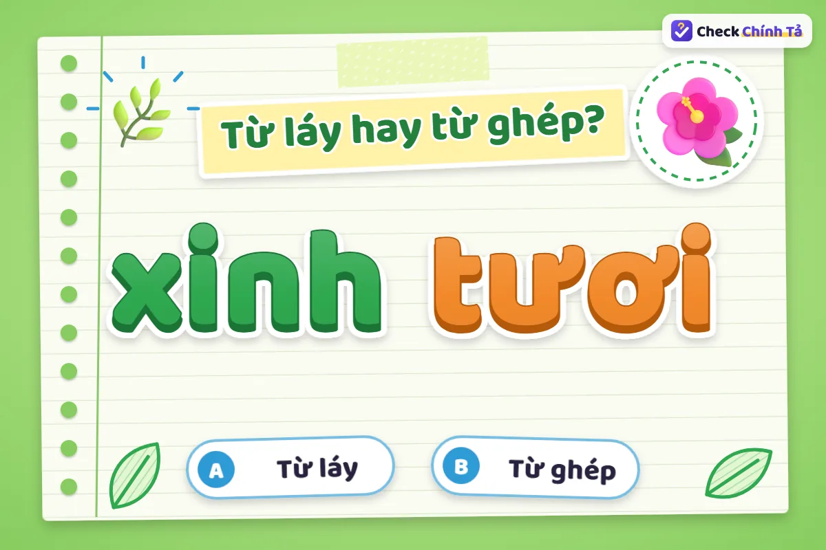 Xinh tươi là từ ghép hay từ láy