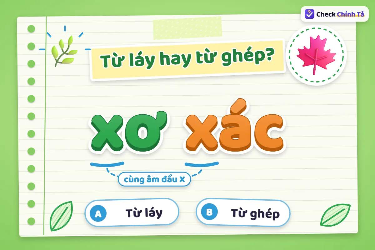 Xơ xác là từ láy hay từ ghép